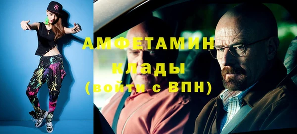 прущие грибы Баксан