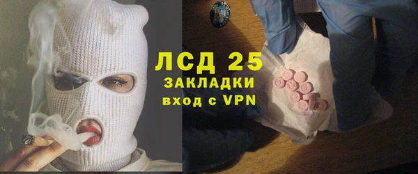 прущие грибы Баксан