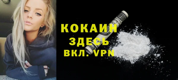 прущие грибы Баксан