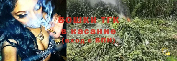 прущие грибы Баксан