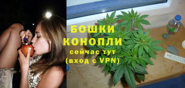 дживик Белоозёрский