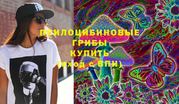 не бодяженный Белокуриха