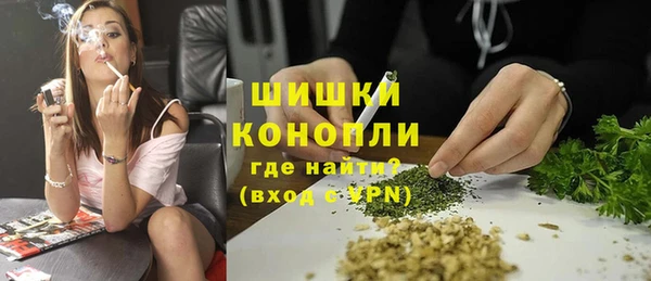 прущие грибы Баксан